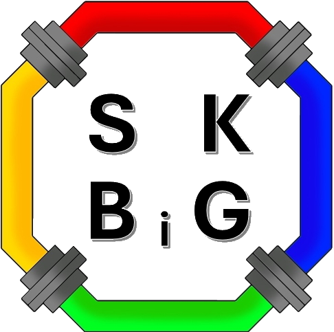 LOGO SK BiG